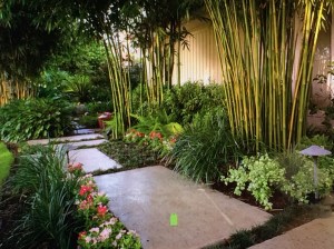 Dramatic Entry Honolulu